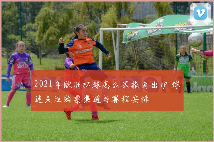 2021年欧洲杯球怎么买指南出炉 球迷关注购票渠道与赛程安排