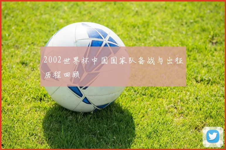2002世界杯中国国家队备战与出征历程回顾
