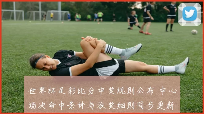 世界杯足彩比分中奖规则公布 中心场次命中条件与派奖细则同步更新