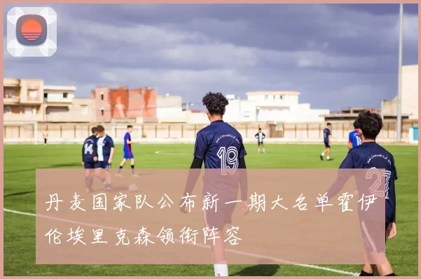 丹麦国家队公布新一期大名单霍伊伦埃里克森领衔阵容