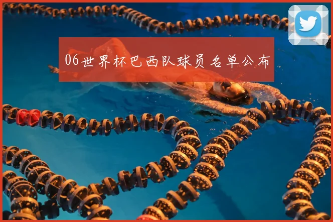 06世界杯巴西队球员名单公布